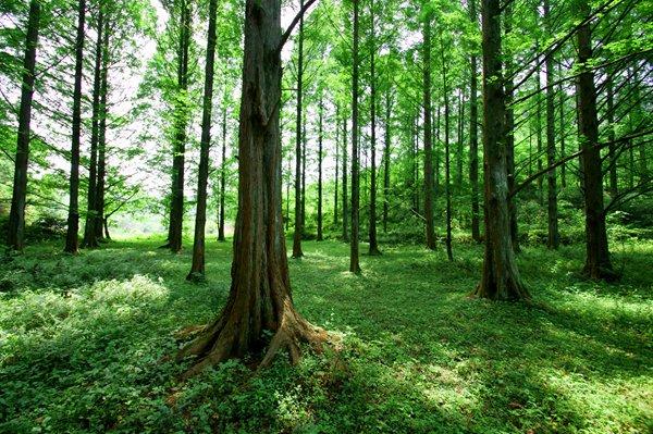 除了外星人入侵地球，你在《三體》中還看到了什么？